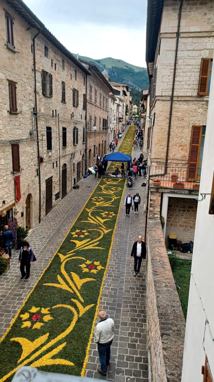 Infiorata Corpus Domini - Sigillo